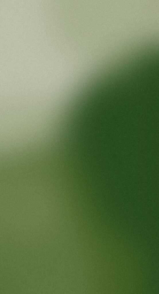 dark green aesthetic
